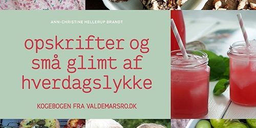 opskrifter-og-smaa-glimt-af-hverdagslykke Kogebog Valdemarsro