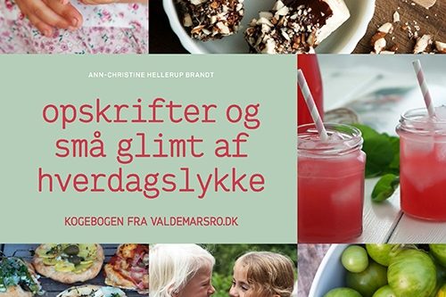 opskrifter-og-smaa-glimt-af-hverdagslykke Kogebog Valdemarsro