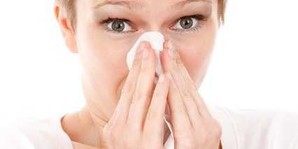 allergi Pollenalergi