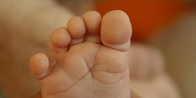 foot-1625990__180